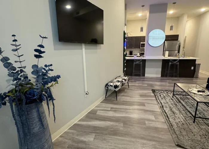 Beautiful Condo/Rooftop Patio With Free Parking